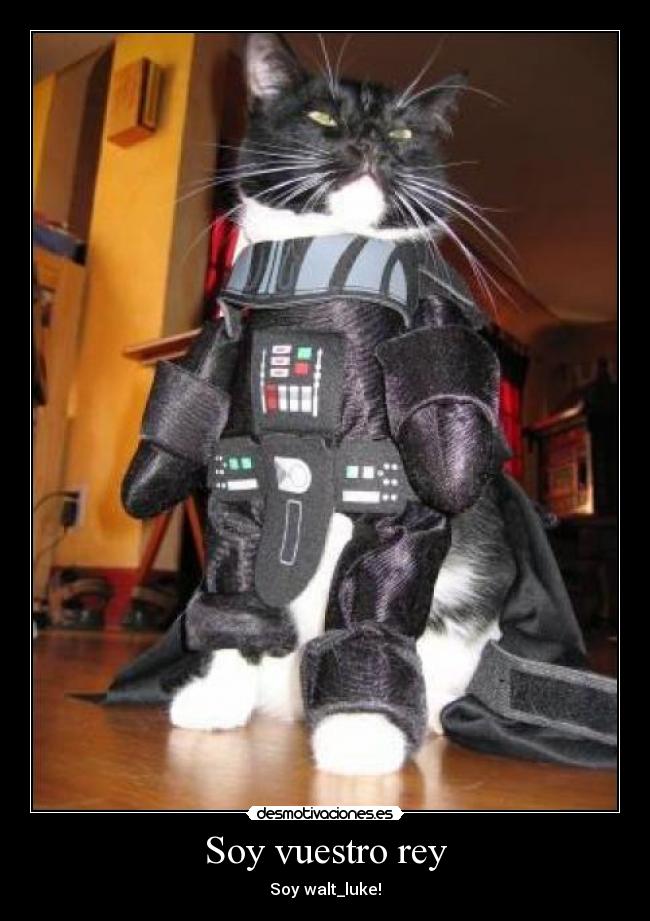 Soy vuestro rey - Soy walt_luke!