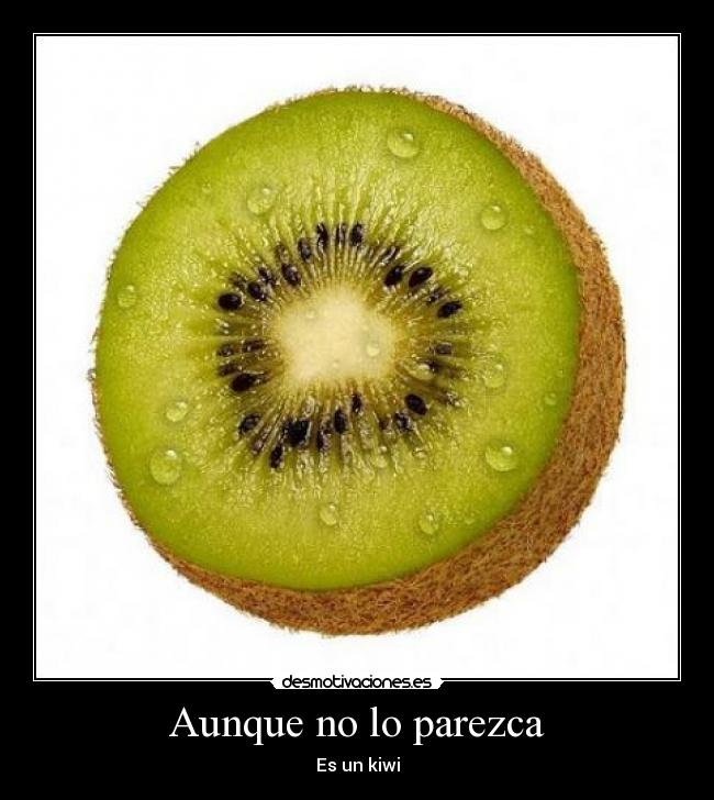 Aunque no lo parezca - Es un kiwi