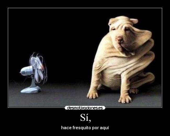 carteles pitufamartin desmotivaciones