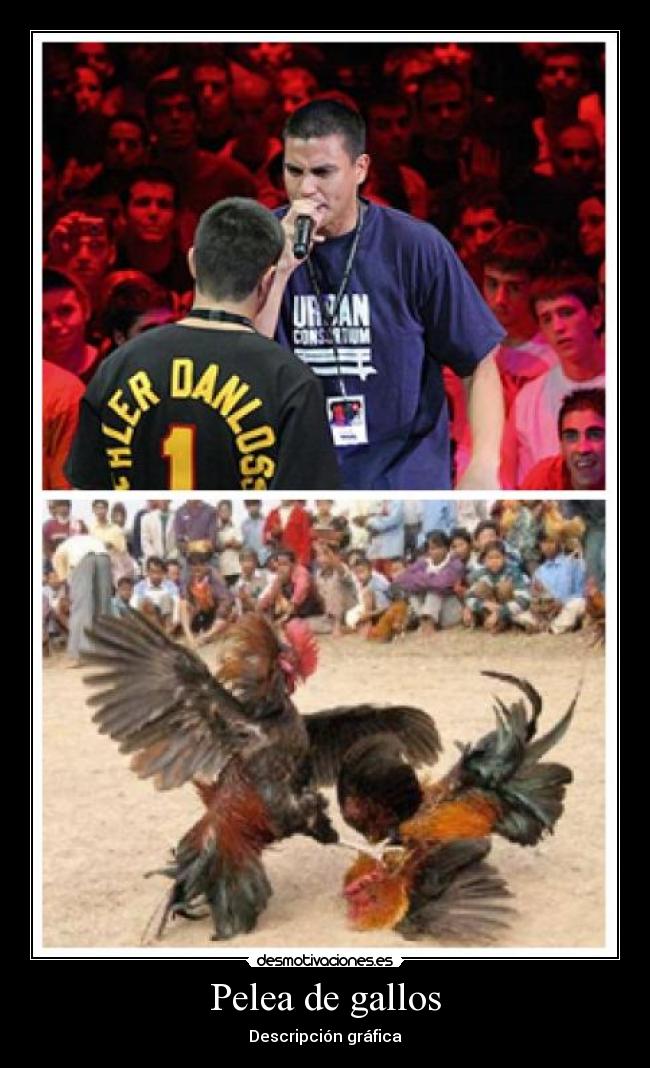 Pelea de gallos - 