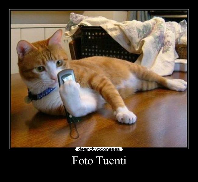 Foto Tuenti - 