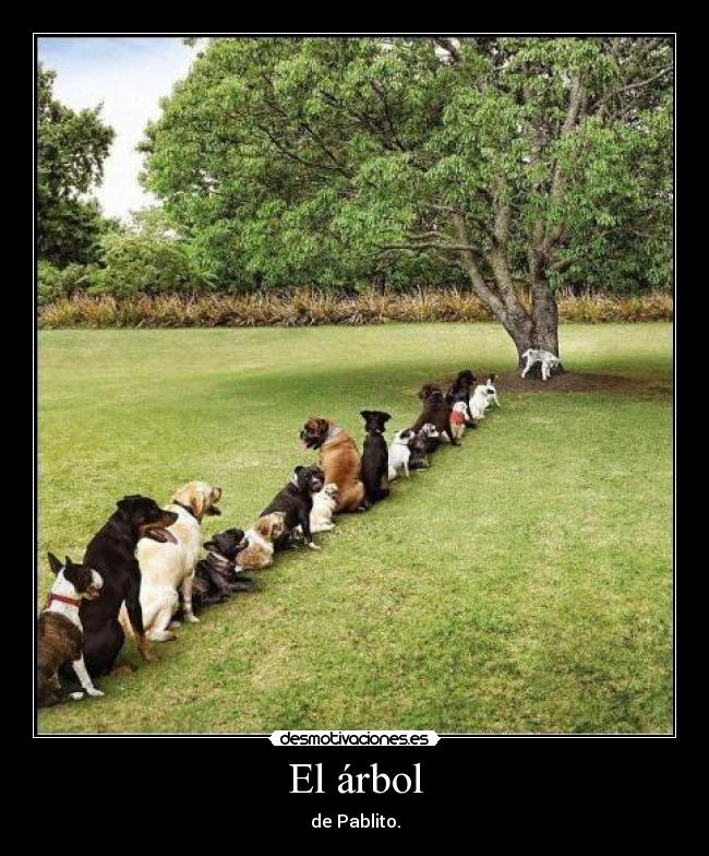 El árbol - de Pablito.