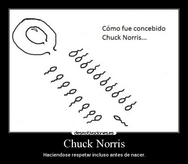 Chuck Norris - 