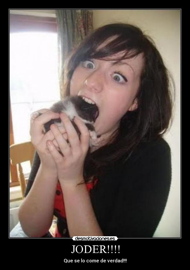 carteles conejo desmotivaciones