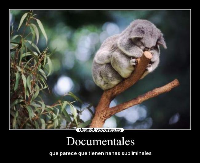 Documentales - que parece que tienen nanas subliminales