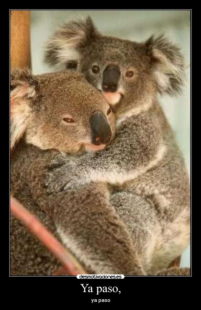 carteles amigos pesados desmotivaciones