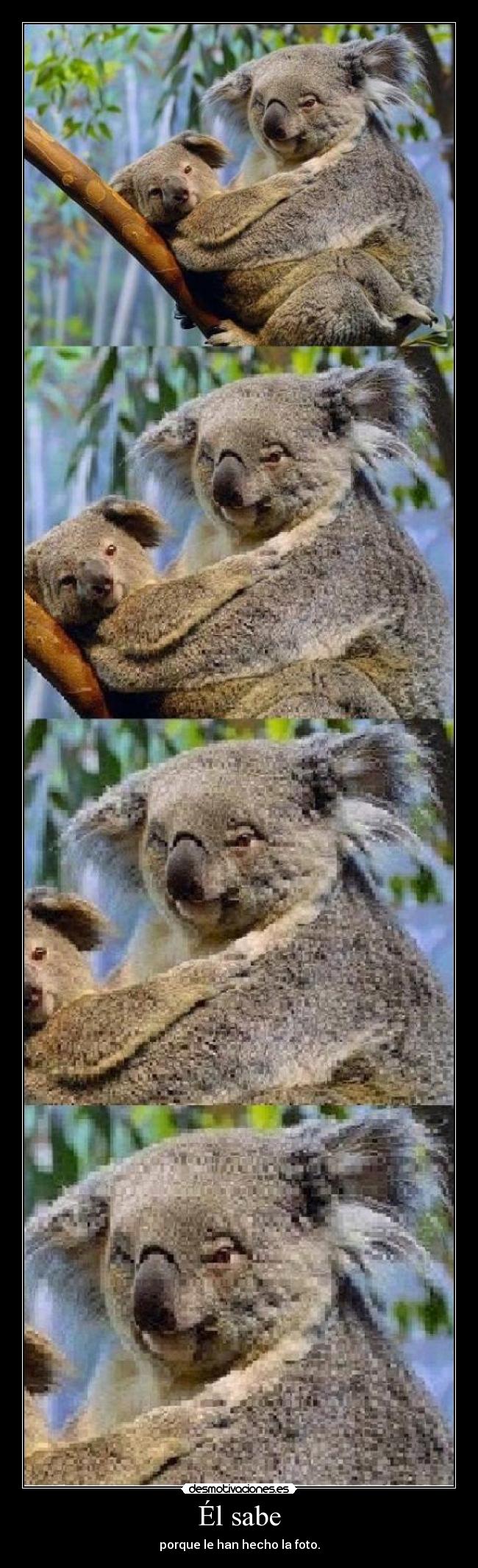 Él sabe - porque le han hecho la foto.