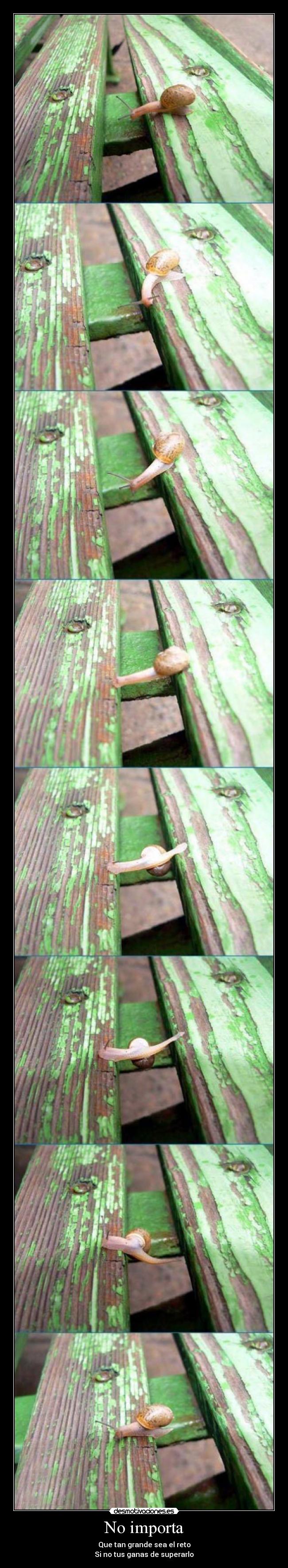 No importa - Que tan grande sea el reto
Si no tus ganas de superarlo