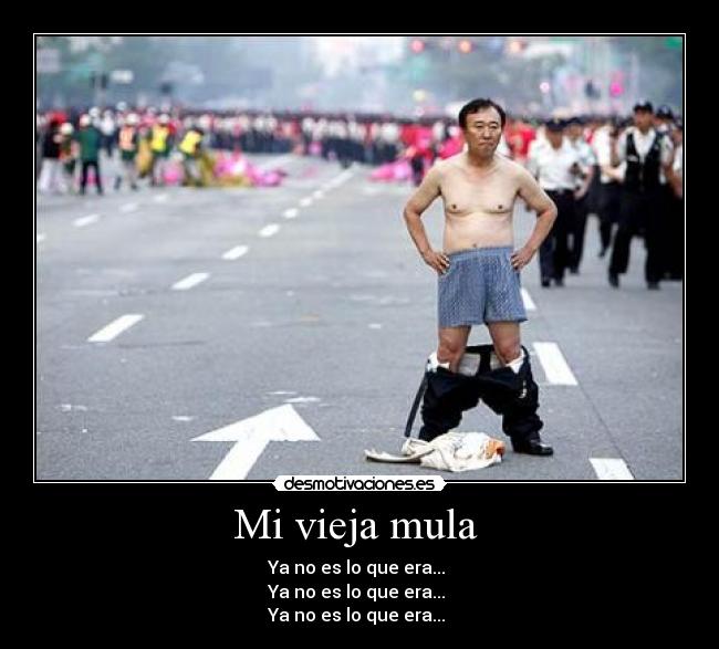 Mi vieja mula  - 
