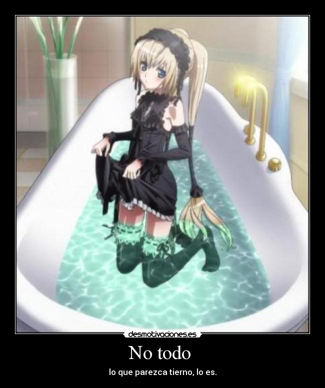 No todo -