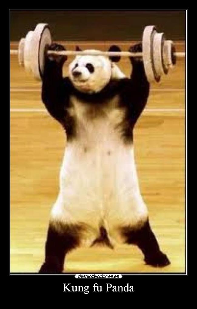 Kung fu Panda -