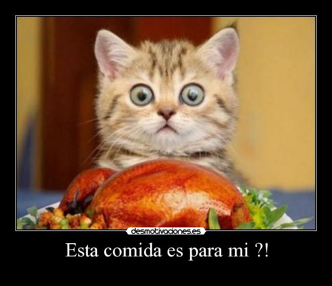 Esta comida es para mi ?! - 