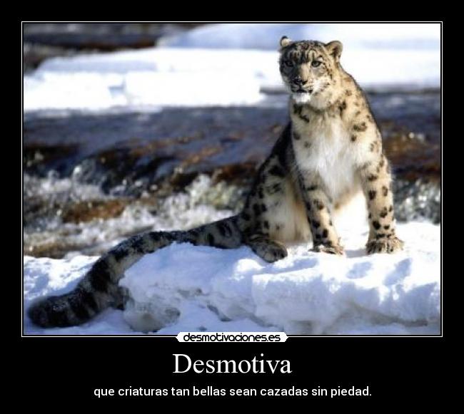Desmotiva -
