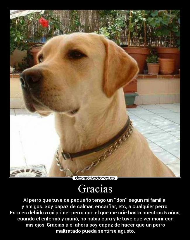 Gracias -