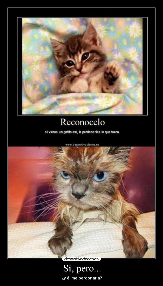 Sí, pero... - ¿y él me perdonaria?