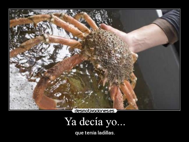 Ya decía yo... - que tenía ladillas.