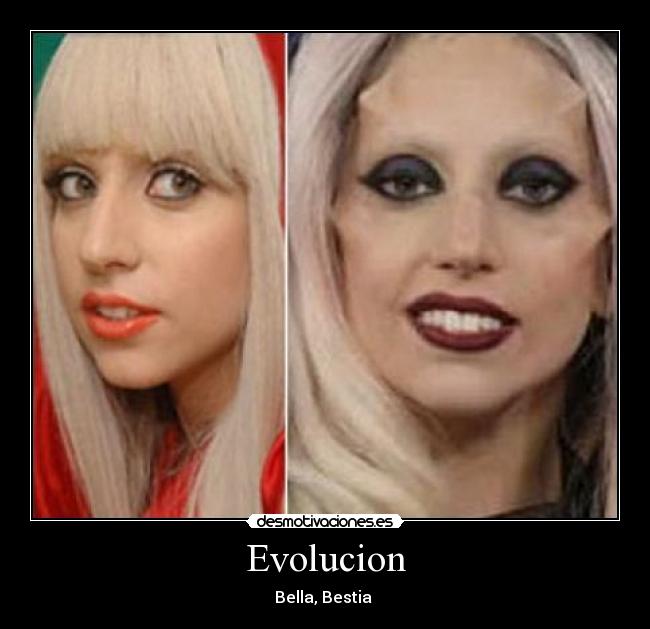 Evolucion - 