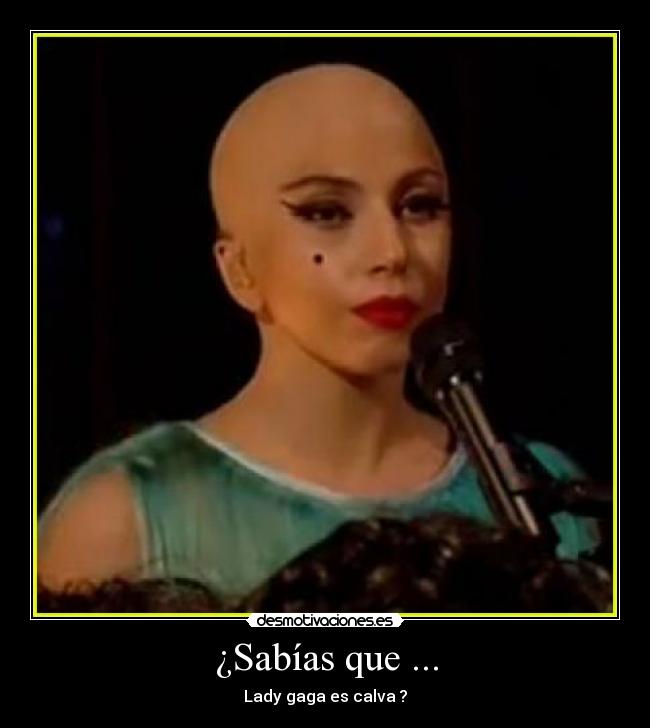¿Sabías que ... - Lady gaga es calva ?
