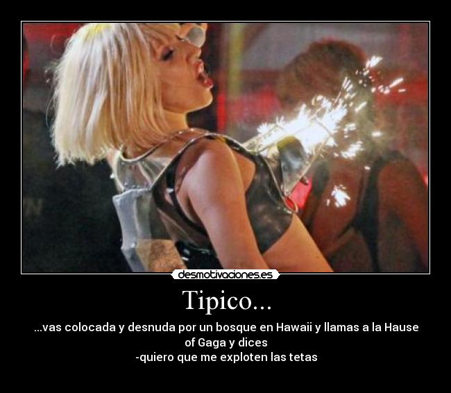 carteles lady gaga tipico desmotivaciones