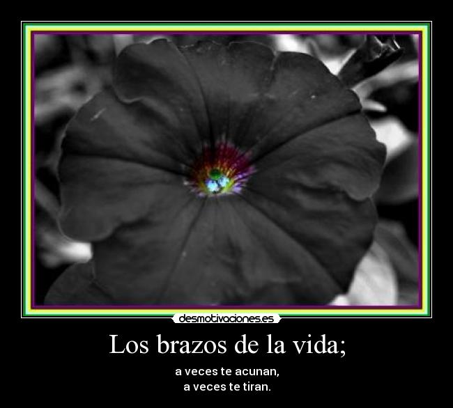 Los brazos de la vida; - a veces te acunan,
a veces te tiran.