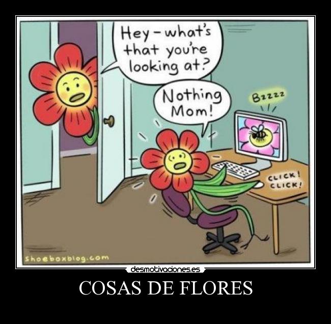 COSAS DE FLORES - 
