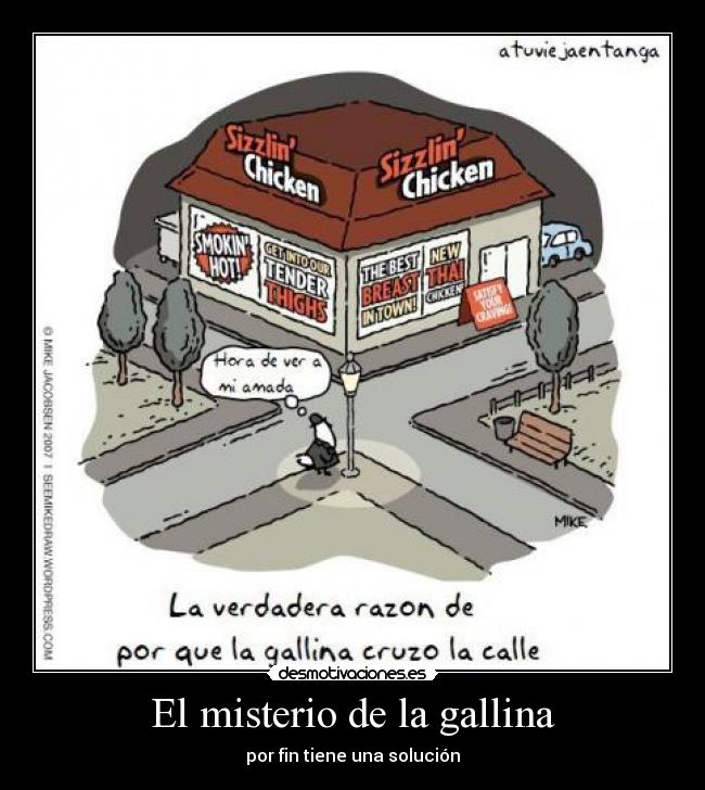 El misterio de la gallina - por fin tiene una solución