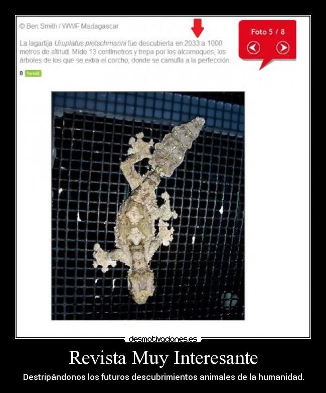 Revista Muy Interesante - Destripándonos los futuros descubrimientos animales de la humanidad.