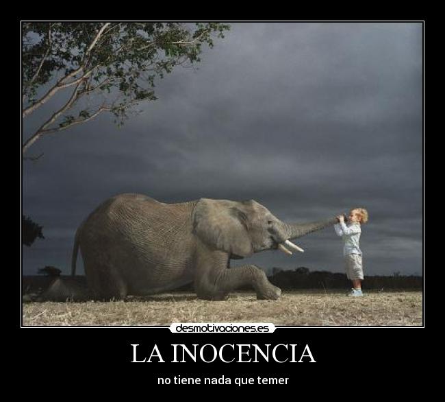 carteles inociencia tiene nada que temer acv nino nina pequeno elefante trompa desmotivaciones