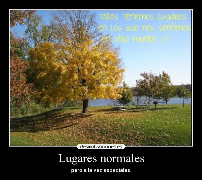 carteles lugares desmotivaciones