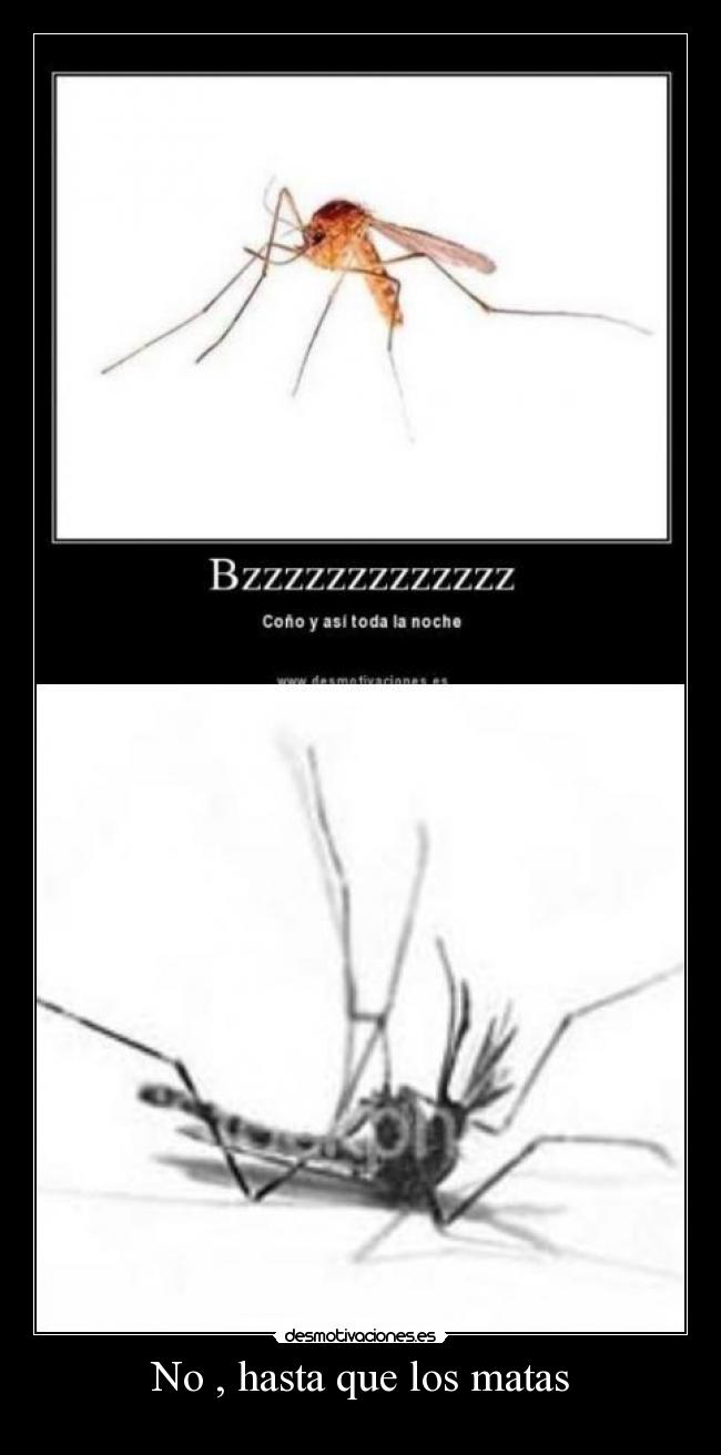 No , hasta que los matas - 