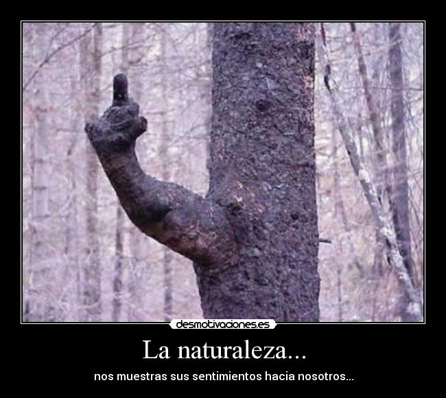 La naturaleza... -