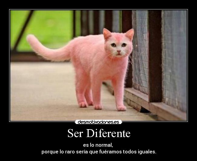 Ser Diferente - es lo normal,
porque lo raro sería que fuéramos todos iguales.
