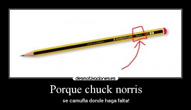 Porque chuck norris - se camufla donde haga falta!