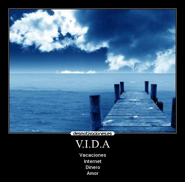 V.I.D.A - 