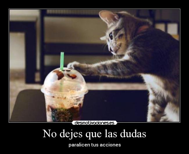 No dejes que las dudas - 