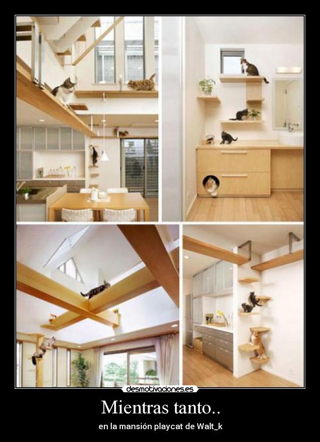 Mientras tanto.. - en la mansión playcat de Walt_k