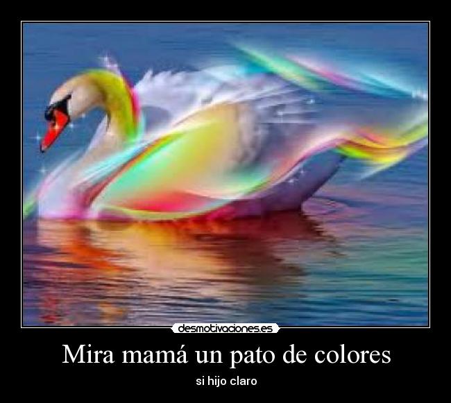 Mira mamá un pato de colores - 