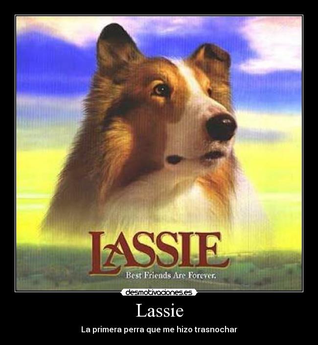 Lassie -