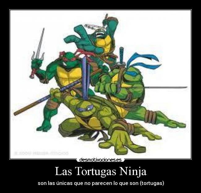 Las Tortugas Ninja - son las únicas que no parecen lo que son (tortugas)