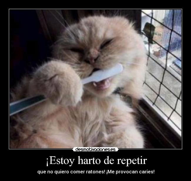 ¡Estoy harto de repetir - que no quiero comer ratones! ¡Me provocan caries!