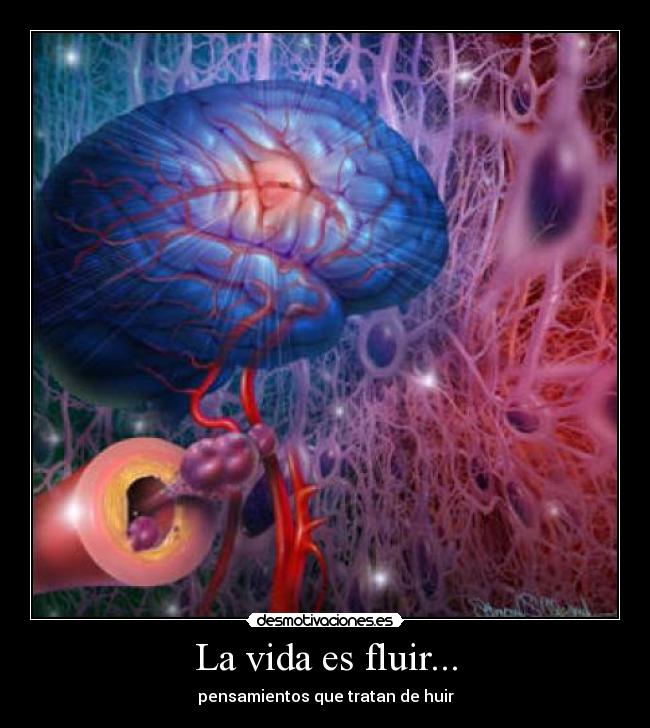 La vida es fluir... -