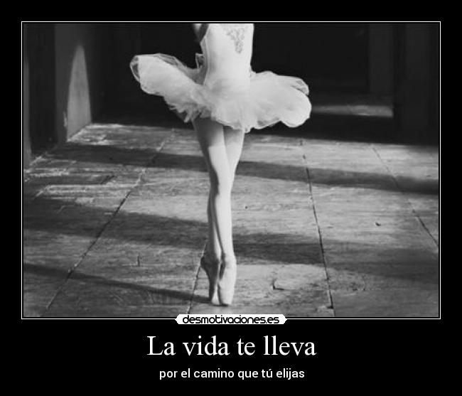 La vida te lleva - por el camino que tú elijas