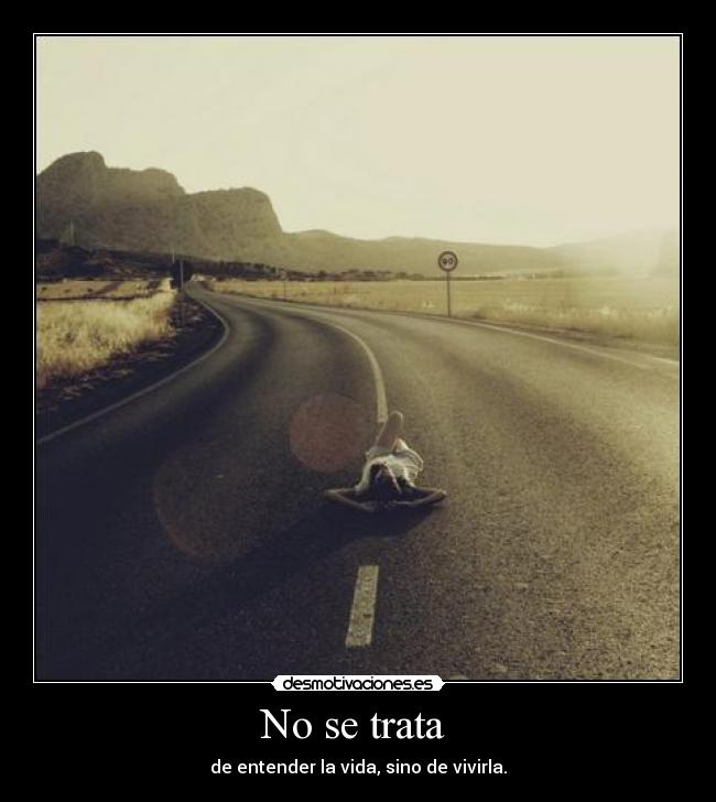 carteles vida entender vivirla desmotivaciones