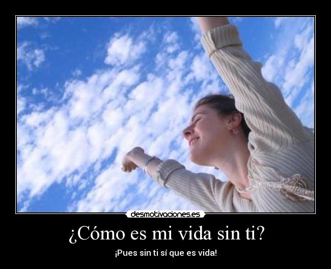 carteles vida vida felicidad desmotivaciones