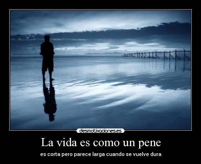 La vida es como un pene - es corta pero parece larga cuando se vuelve dura