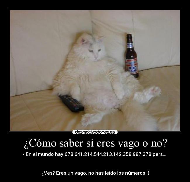 ¿Cómo saber si eres vago o no? - - En el mundo hay 678.641.214.544.213.142.358.987.378 pers...
¿Ves? Eres un vago, no has leído los números ;)