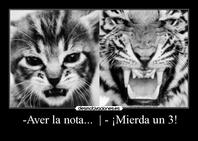 -Aver la nota... | - ¡Mierda un 3! -