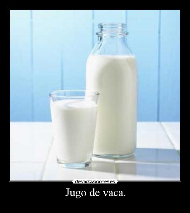 Jugo de vaca. -