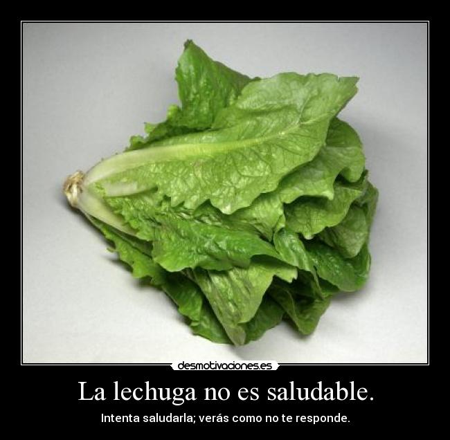La lechuga no es saludable. - 