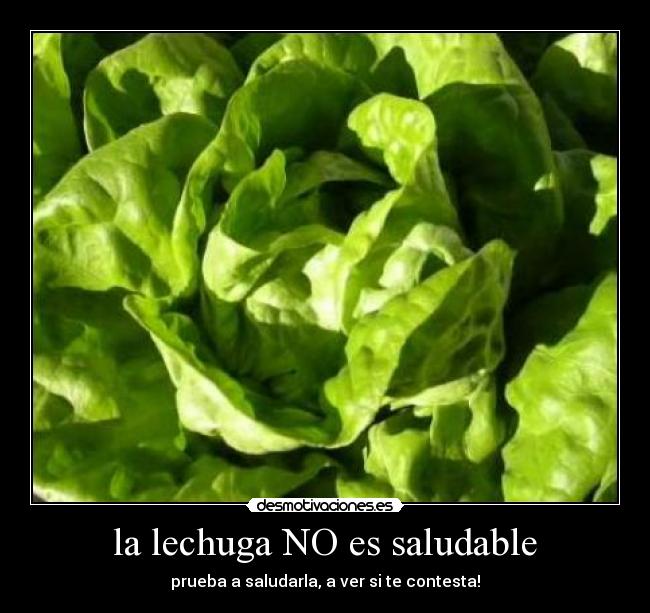 la lechuga NO es saludable -
